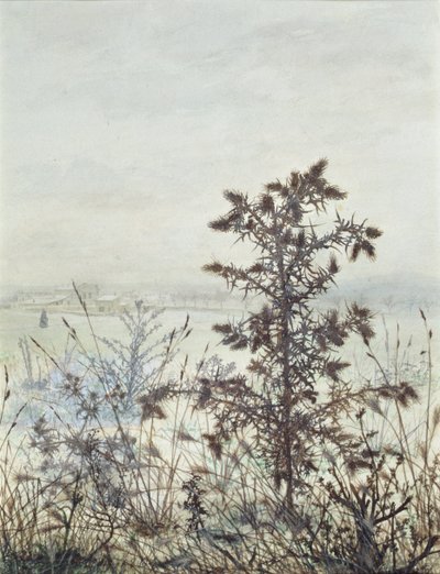 Thistles and Weeds, 1864 by Léon Bonvin